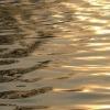 in dumfries the river flows pavement coloured gold
